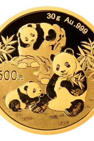 Oryginalny Panda 30 gram gouden munt 2025 - Goudverzekerd