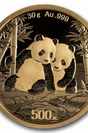 Panda 30 gram gouden munt 2026 - Goudverzekerd Nowość