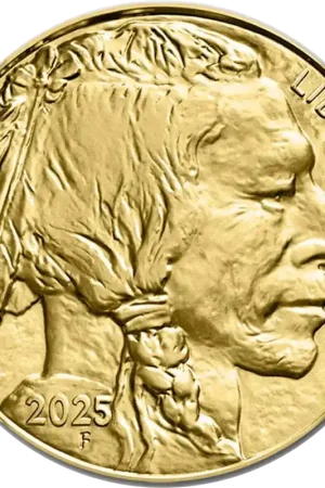 Zamów teraz American Buffalo 1 troy ounce gouden munt 2026 - Goudverzekerd