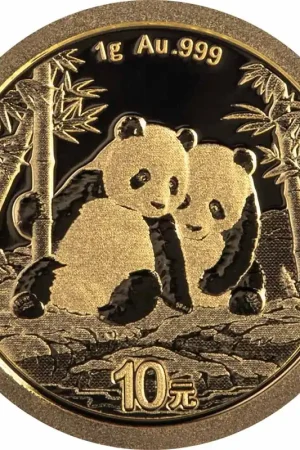 Ostatnia szansa Panda 1 gram gouden munt 2026 - Goudverzekerd