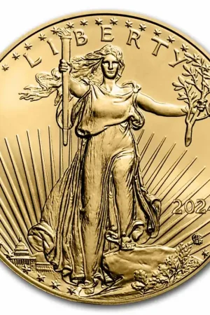 Tylko dziś American Eagle 1 troy ounce gouden munt 2024 - Goudverzekerd