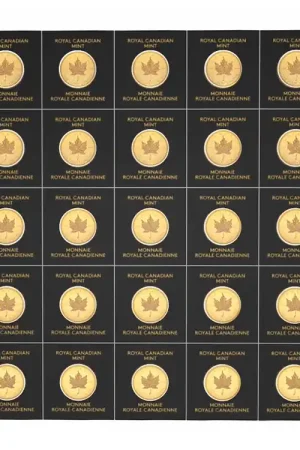 Zamów teraz MapleGram 25x1 gram gouden munt - Goudverzekerd