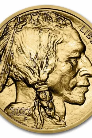 American Buffalo 1 troy ounce gouden munt 2023 - Goudverzekerd Wysoka jakość