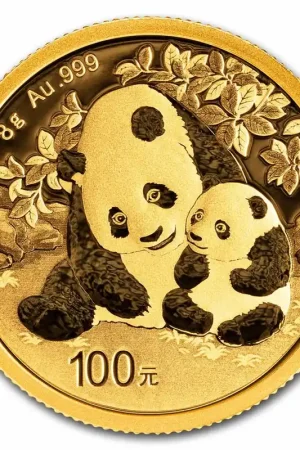 Panda 8 gram gouden munt 2024 - Goudverzekerd Bezpieczna płatność