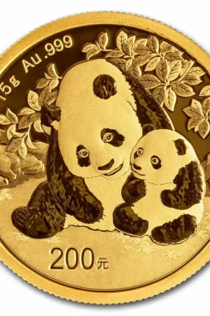 Panda 15 gram gouden munt 2024 - Goudverzekerd Ostatnia szansa