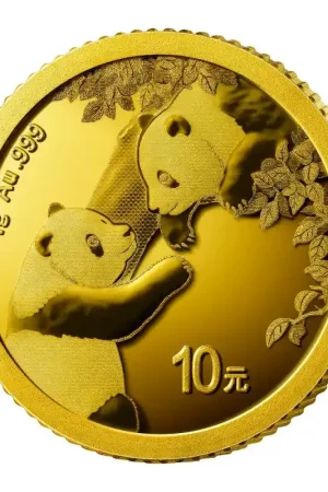 Tylko dziś Panda 1 gram gouden munt 2023 - Goudverzekerd