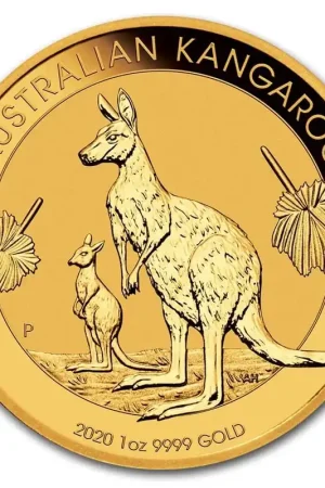 Autentyczny Kangaroo 1 troy ounce gouden munt 2020 - Goudverzekerd