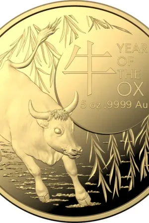 Promocja Lunar Ox RAM 5 troy ounce gouden munt 2021 - Goudverzekerd
