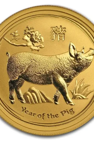 Lunar Pig 1/2 troy ounce gouden munt 2019 - Goudverzekerd Szybka dostawa