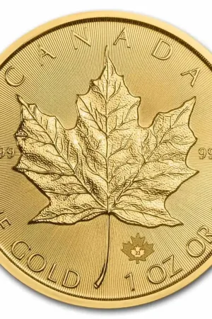 Maple Leaf 1 troy ounce gouden munt 2022 - Goudverzekerd Najlepsza cena
