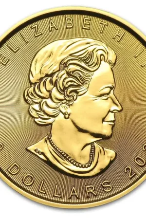 Oferta limitowana Maple Leaf 1/2 troy ounce gouden munt 2020 - Goudverzekerd