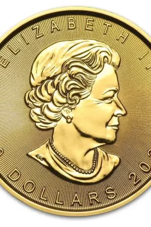 Maple Leaf 1/2 troy ounce gouden munt 2022 - Goudverzekerd Kup teraz