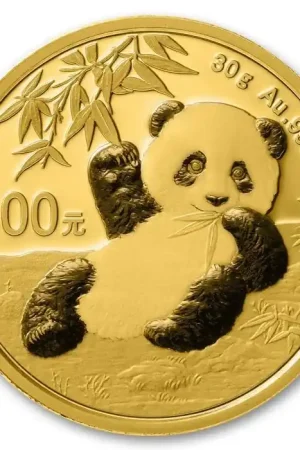 Wyprzedaż Panda 30 gram gouden munt 2020 - Goudverzekerd
