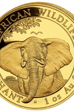 Somalia Elephant 1 troy ounce gouden munt 2021 - Goudverzekerd Rabat
