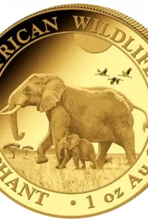 Niska cena Somalia Elephant 1 troy ounce gouden munt 2022 - Goudverzekerd