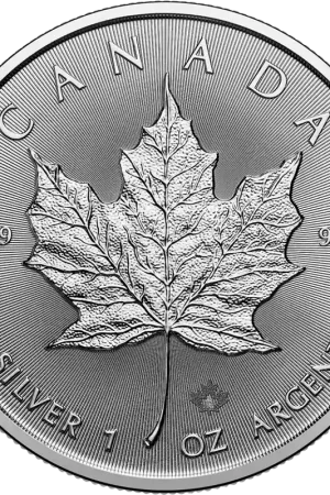 Oryginalny Maple Leaf 1 troy ounce zilveren munt 2025 - Goudverzekerd