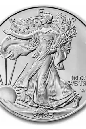 Nowość American Eagle 1 troy ounce zilveren munt 2025 - Goudverzekerd