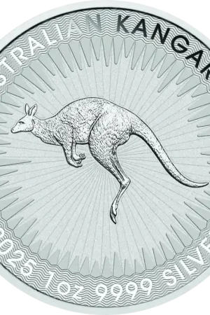 Zamów teraz Kangaroo 1 troy ounce zilveren munt 2025 - Goudverzekerd