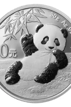 Panda 30 gram zilveren munt 2020 - Goudverzekerd Kup teraz