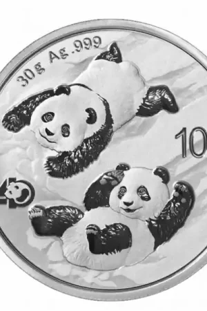 Panda 30 gram zilveren munt 2022 - Goudverzekerd Popularny