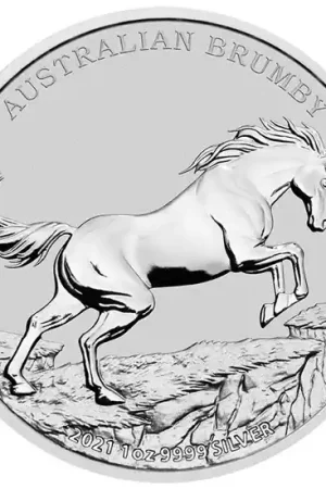 Australian Brumby #2: 1 troy ounce zilveren munt 2021 - Goudverzekerd Ekspresowa dostawa