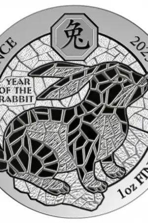Tani Rwanda Lunar Rabbit 1 troy ounce zilveren munt 2023 - Goudverzekerd