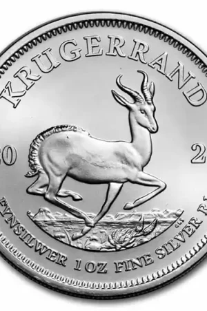Oryginalny Krugerrand 1 troy ounce zilveren munt 2024 - Goudverzekerd