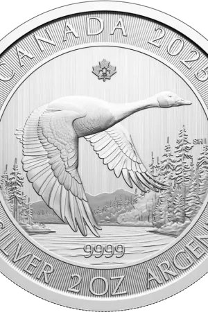 Niska cena Canada Goose 2 troy ounce zilveren munt 2025 - Goudverzekerd