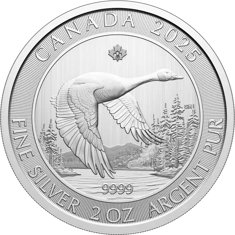 Niska cena Canada Goose 2 troy ounce zilveren munt 2025 - Goudverzekerd