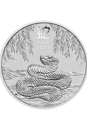 Lunar Series III Snake 2 troy ounce zilveren munt 2025 - Goudverzekerd Zwrot pieniędzy
