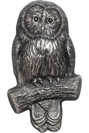 Wildlife #1 Ural Owl 2 troy ounce zilveren munt 2019 - Goudverzekerd Wysoka jakość