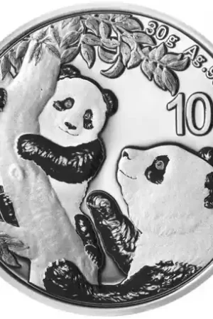 Tylko dziś Panda 30 gram zilveren munt 2021 - Goudverzekerd