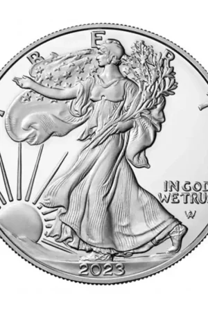 American Eagle 1 troy ounce zilveren munt 2023 - Goudverzekerd Ekspresowa dostawa