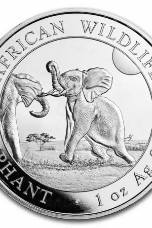 Wyprzedaż Somalia Elephant 1 troy ounce zilveren munt 2024 - Goudverzekerd