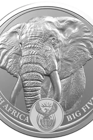 Tani African Big Five Elephant 1 troy ounce zilveren munt 2019 - Goudverzekerd