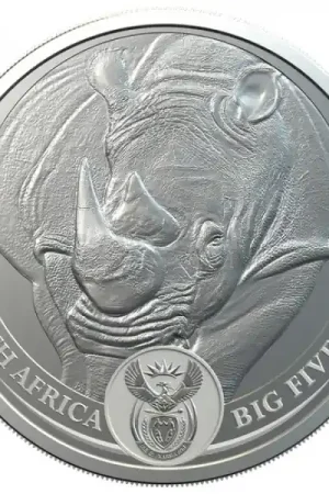 Oferta limitowana African Big Five Rhino 1 troy ounce zilveren munt 2020 - Goudverzekerd