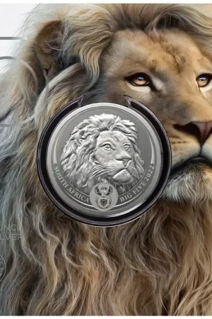 Nowość African Big Five Series II zilveren munt - Goudverzekerd