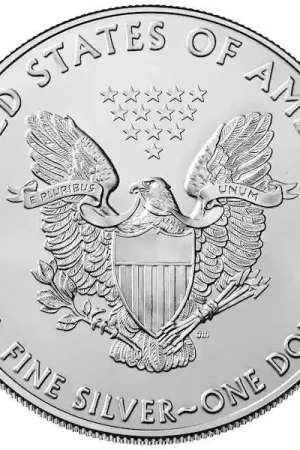American Eagle 1 troy ounce zilveren munt 2021 - Goudverzekerd Autentyczny