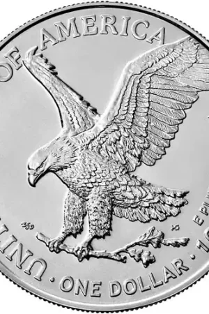 American Eagle 1 troy ounce zilveren munt 2021 Type 2 - Goudverzekerd Premium