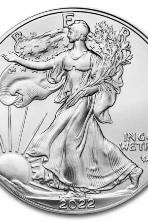 American Eagle 1 troy ounce zilveren munt 2022 - Goudverzekerd Bezpieczna płatność