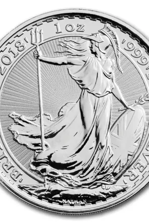 Britannia 1 troy ounce zilveren munt 2020 - Goudverzekerd Zwrot pieniędzy