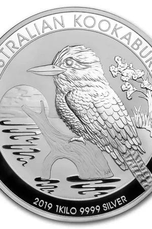 Zwrot pieniędzy Kookaburra 1 kilo zilveren munt 2019 - Goudverzekerd