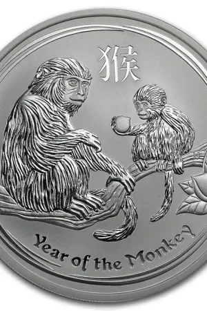 Lunar Aap 5 troy ounce zilveren munt 2016 - Goudverzekerd Wysoka jakość