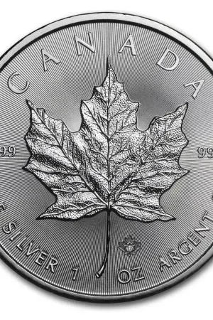 Maple Leaf 1 troy ounce zilveren munt 2017 - Goudverzekerd Popularny