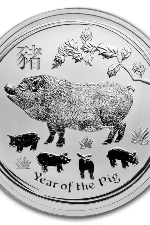 Lunar Pig 1 troy ounce zilveren munt 2019 - Goudverzekerd Zwrot pieniędzy