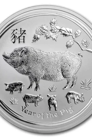 Lunar Pig 5 troy ounce zilveren munt 2019 - Goudverzekerd Wyprzedaż