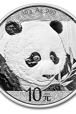 Panda 30 gram zilveren munt - Goudverzekerd Ostatnia szansa
