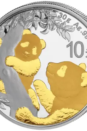 Wysoka jakość Panda 30 gram zilveren munt goud gekleurd 2021 - Goudverzekerd