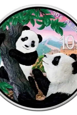 Tylko dziś Panda Colorized 1 troy ounce zilveren munt 2021 - Goudverzekerd