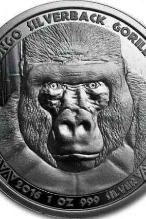 Republic of Congo Silverback Gorilla 1 troy ounce zilveren munt 2016 - Goudverzekerd Tani